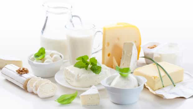 Молоко и молочные продукты