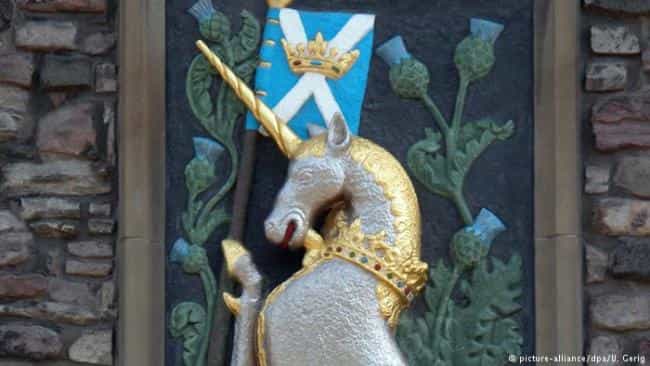 Страна единорогов
