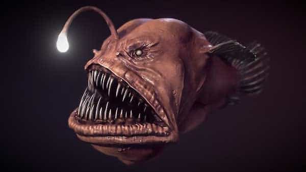 Рыба-удильщик / Anglerfish