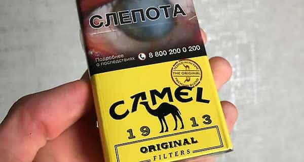 Camel Original