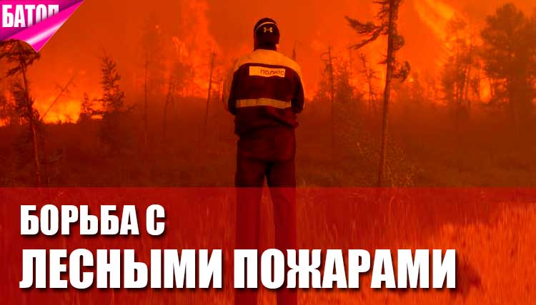 Борьба с лесными пожарами: как содействуют региональным службам их федеральные представители