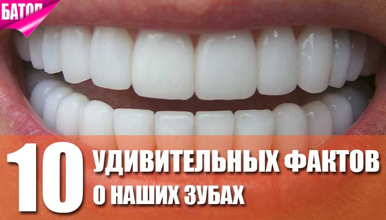 удивительные факты о наших зубах