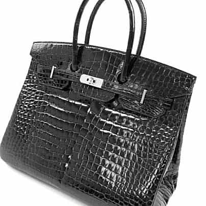 Hermes Matte Crocodile Birkin Bag