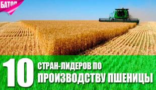 Страны-лидеры по производству пшеницы