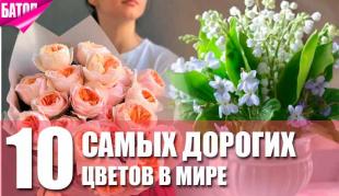 дорогие цветы
