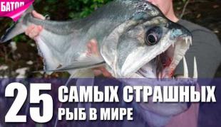 самые страшные рыбы